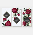 wedding invitation with burgundy peonies vector image