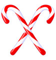 colorful cartoon crossed candy cane vector image