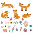 foxes set characters vector image