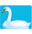 swan vector image