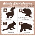 north america animals and animal tracks vector image