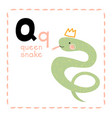 alphabet letter q for queen snake for teaching vector image