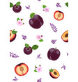 plum fruits and slice seamless pattern with cute vector image vector image