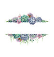greenery succulent and branches frame template vector image