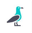 new gray turquoise icon on a white background vector image