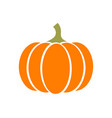 pumpkin squash for halloween or thanksgiving icon vector image