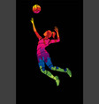 woman volleyball player action cartoon graphic vector image
