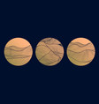 abstract circle linear logos golden vector image