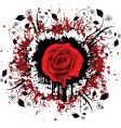 grunge rose vector image vector image