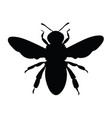 silhouette a honey bee contours wasp vector image