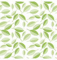 spring green leaves abstract on wight background vector image