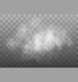 white smoke cloud isolated vector image vector image