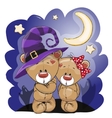 two bears vector image