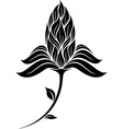 flower silhouette vector image