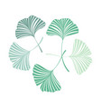 background with ginkgo biloba leaves vector image vector image
