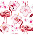 flamingo pink hibiscus plumeria white background vector image