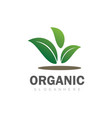 green leaf organic logo vector image