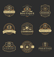 luxury monograms logos templates objects vector image