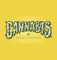 cannabis text smoke element vector image vector image