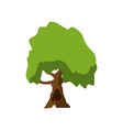 stylized green tree cartoon vector image vector image