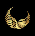 gold head hawk falcon eagle logo design icon vector image