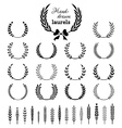 set of wreaths and branches vector image