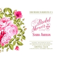 bridal shower invitation vector image