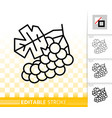 grape simple black line wine organic icon vector image