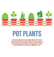 pot plants in long wooden vector image