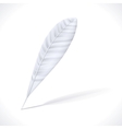 white feather vector image