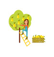 farmer harvest from tree icon vector image