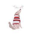 dalmatian dog in sweater flat vector image