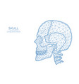 human skull low poly art polygonal vector image vector image