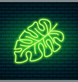 tropical neon sign green plant or leaves night vector image