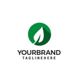 green leaf logo design concept template vector image