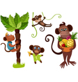monkeys in the jungle vector image