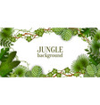 tropical jungle exotic lianas vine and palm leaves vector image