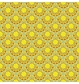 abstract floral ethnic background seamless pattern vector image