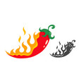 chili pepper in fire vector image