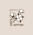 cotton plant branch vector image vector image