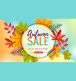 autumn big sale typography poster with vector image