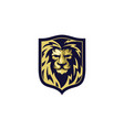 lion head logo design template vector image