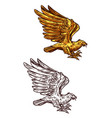 eagle gold heraldic falcon or hawk bird vector image vector image