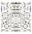 set of vintage decorations elements vector image