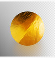 stock shiny sparkly gold leaf vector image vector image
