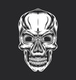 stylized monochrome skull vector image vector image