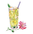 watercolor lemonade vector image vector image