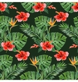 hand drawn tropical plants seamless vector image vector image