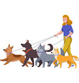 walking shelter animals composition vector image