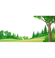 forest border vector image